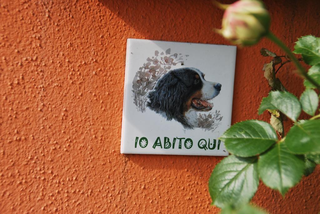 Villetta Gaia Colle Umberto  Ngoại thất bức ảnh